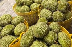 Xuất khẩu rau quả dự báo sẽ tăng trưởng tích cực trong quý III