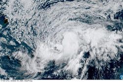 Bão Lala gây mất điện trên diện rộng, hơn 100 ngôi nhà ở Hawaii bị hư hại