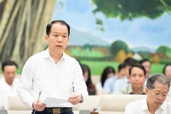 Dự thảo Luật ph&aacute;t triển đ&ocirc; thị: Chuyển thẩm quyền quyết định cải tạo, x&acirc;y dựng lại nh&agrave; chung cư từ UBND sang HĐND