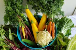 Ăn chay healthy: Thành phần dinh dưỡng lấy từ đâu?
