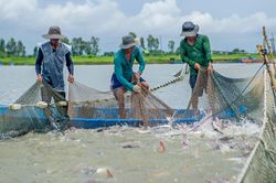 Muốn tìm vốn dài hạn, hãy đọc luật của nước mua hàng