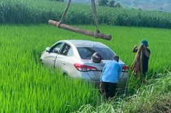 Phát hiện nam tài xế tử vong trong ô tô lao xuống ruộng lúa