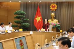 Thúc đẩy hệ sinh thái 'kinh tế bạc', bảo vệ người cao tuổi trên không gian mạng