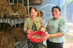 Phát huy hiệu quả phong trào phụ nữ khởi nghiệp