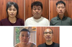 Bắt 5 tội phạm trốn nã nước ngoài