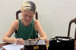 'Đạo chích' ngoại quốc sa lưới
