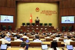 Kỳ họp không thường lệ thứ nhất, Quốc hội khóa XVI: Tiếp tục thảo luận các định hướng chính sách lớn