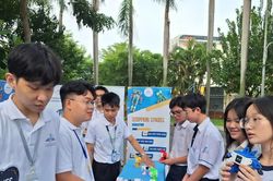 TPHCM phê duyệt phương án tổng thể sắp xếp mạng lưới các cơ sở giáo dục