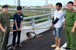 Bắt 2 đối tượng trộm dây điện trên đường dẫn cao tốc Biên Hòa - Vũng Tàu