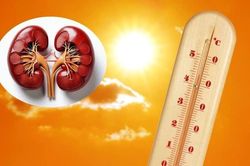 Nắng nóng 40°C, người thợ xây tổn thương thận cấp vì mất nước