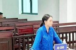 'Cò đất' chiếm đoạt gần 1,4 tỷ đồng lĩnh 12 năm tù giam