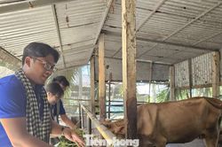 Bài 1: Sinh viên tình nguyện truyền cảm hứng cho nông dân