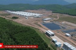 Xử phạt trang trại heo gây ô nhiễm không khí