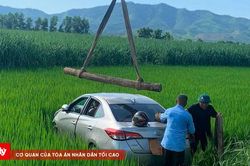 Tài xế tử vong sau khi ô tô lao xuống ruộng