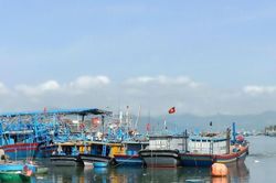 Gia Lai siết quản lý tàu cá, quyết gỡ 'thẻ vàng' IUU