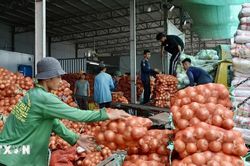 An Giang thúc đẩy xuất khẩu, nâng giá trị các mặt hàng chủ lực