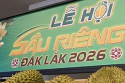 Xây thương hiệu sầu riêng Đắk Lắk từ trái cây đặc sản đến ngành hàng có vị thế
