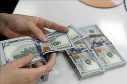 Tỷ giá hôm nay 17/8: USD và NDT cùng đi lên