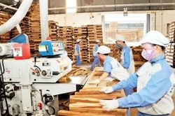 Ngành gỗ làm nhiều, hưởng chưa tương xứng vì chậm chuyển đổi số