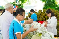TP Hồ Chí Minh: Khai mạc Lễ hội Hương sắc trái cây 2026