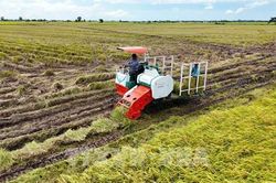 Biến đổi khí hậu: Từ thích ứng đến nâng cao giá trị nông sản