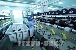 Doanh nghiệp Thái Lan coi Việt Nam là cầu nối tiếp cận thị trường châu Âu