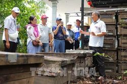 Biến vườn cây thành điểm du lịch hút khách: Tuyệt chiêu nhà vườn Cần Thơ