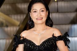 Tài sản khủng của nghệ sĩ Hồng Đào trước khi sang Mỹ