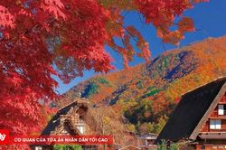 Shirakawa-go: Ngôi làng cổ mái tranh đẹp như trong cổ tích