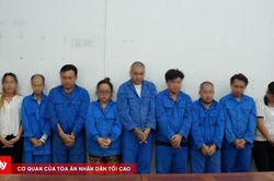 Khởi tố 11 bị can liên quan đến đường dây mua bán thận