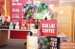Gia Lai sẽ có trung tâm trưng bày cà phê chất lượng cao 287 tỷ đồng