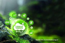 Gỡ điểm nghẽn, tạo lực đẩy cho thị trường carbon