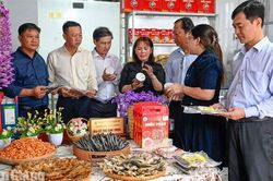 Định hướng phát triển du lịch sinh thái, lịch sử tại U Minh Thượng và Vĩnh Phong