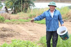 Thay đổi tư duy canh tác từ phụ phẩm nông nghiệp