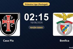 Nhận định Casa Pia vs Benfica: đội hình dự kiến