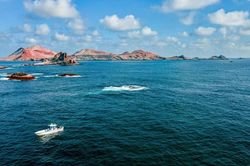 Thảm họa tràn dầu ngoài khơi biển Oman