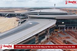 [Video] Tổ chức thêm nhiều đợt tuyển lao động tại Sân bay Long Thành trong năm 2026