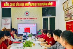Hơn 3.000 cán bộ, hội viên dự hội nghị quán triệt Nghị quyết Đại hội XII Hội Chữ thập đỏ Việt Nam