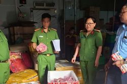 Công an phường Pleiku mạnh tay với thực phẩm bẩn