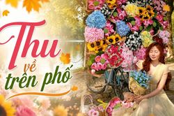 Thu về trên phố