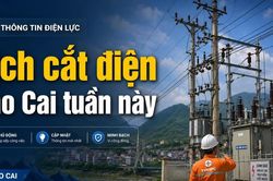 Lịch cắt điện Lào Cai tuần này từ 17/8 đến 23/8/2026