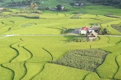 Bám đồng giữ năng suất vụ mùa