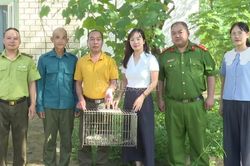 Xã Bản Xèo bàn giao cá thể kỳ đà hoa để cứu hộ