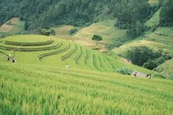 Đưa di sản thành sản phẩm du lịch ở Púng Luông
