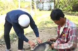 Lâm Đồng tăng cường phòng, chống bệnh dại