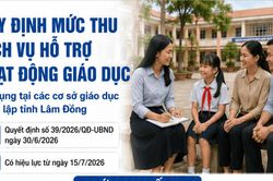 Lâm Đồng quy định mức thu tối đa dịch vụ hỗ trợ giáo dục