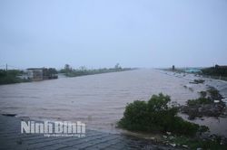 Ninh Bình chủ động ứng phó với mưa lớn, lũ, ngập lụt, sạt lở đất