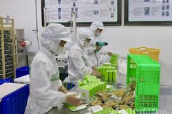 Hình thành 217 chuỗi cung ứng thực phẩm nông, lâm, thủy sản an toàn