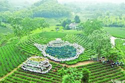 Sức mạnh đoàn kết ở Vô Tranh