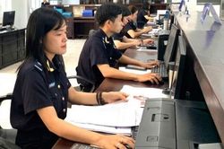 Hải quan rà soát kế hoạch kiểm tra chuyên ngành năm 2026